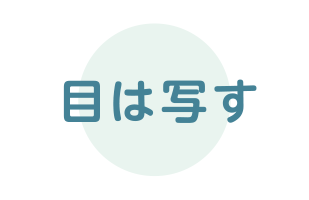 画像:見えるってなんだろう？