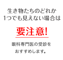 画像:STEP6
