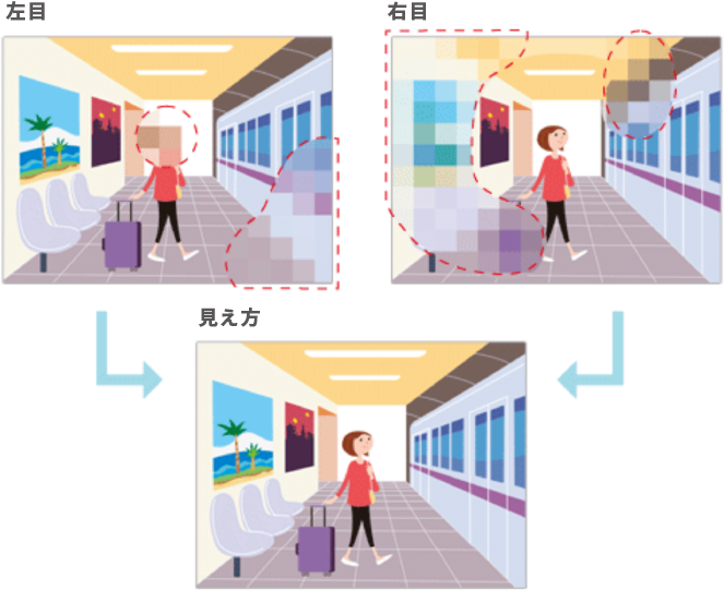 画像:両目で補い合う視野