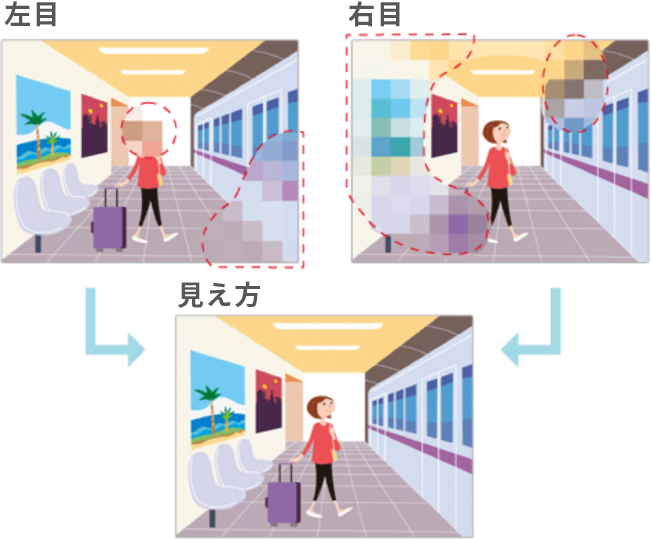 画像:両目で補い合う視野